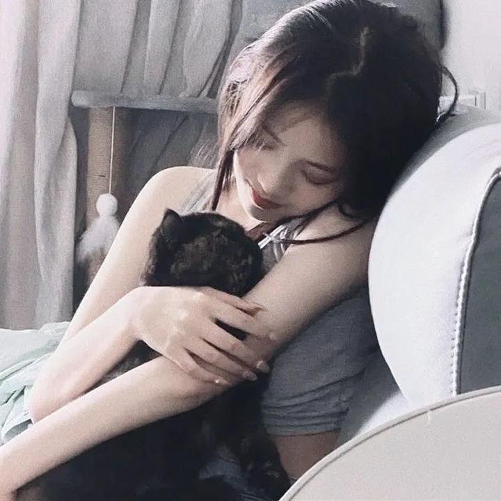 狐狸猎手